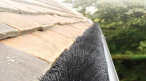 Gutter Guards
